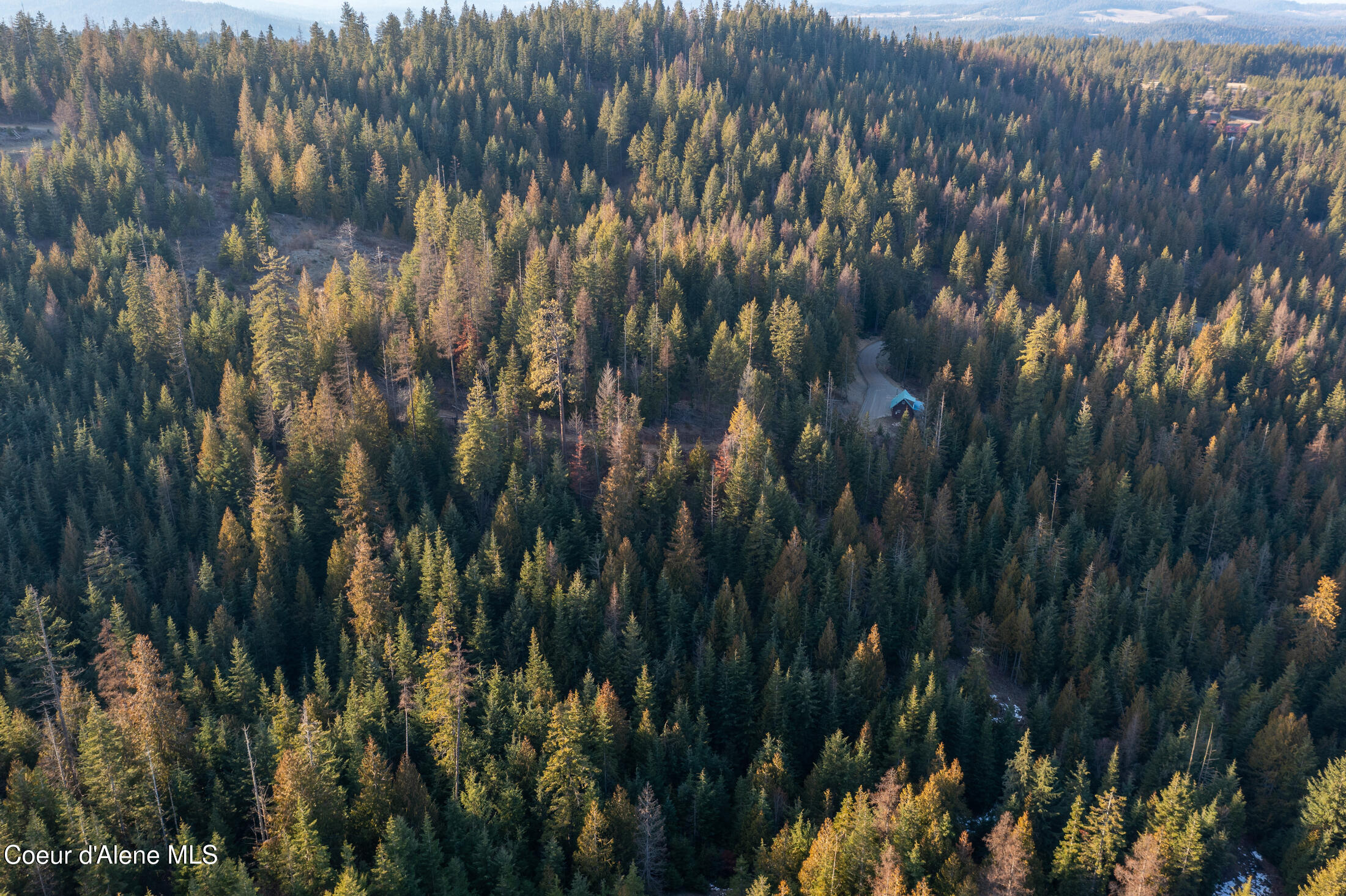 6946 East Burma Road, Unit 50AC Harrison, ID 83833 - Photo 18 of 40 DJI_0035-HDR-4
