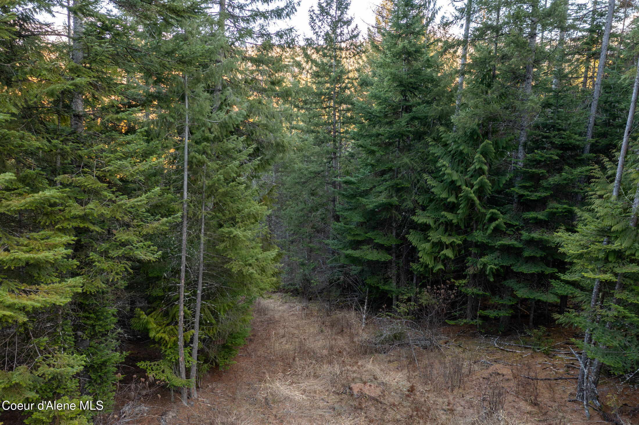 6946 East Burma Road, Unit 50AC Harrison, ID 83833 - Photo 23 of 40 Lot 2 B