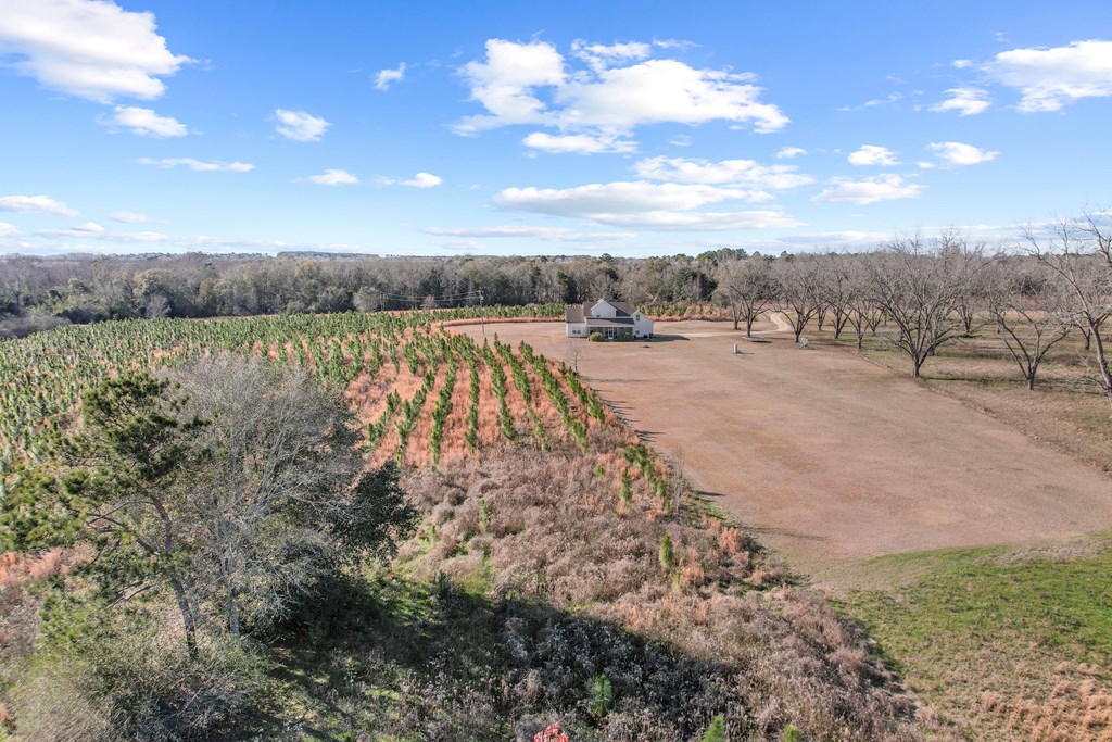 649 Edgar Smith Road Ashford, AL 36312 - Photo 53 of 68