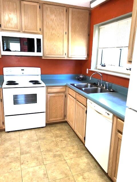 5 Peter Collinson Santee, SC 29142 - Photo 4 of 19 2025 Brangle kitchen 1