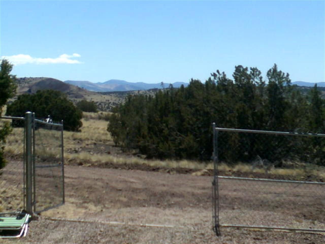 5 Sneed Concho, AZ 85924 - Photo 9 of 13