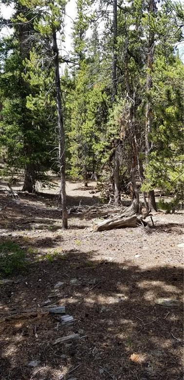 1653 Co Road Fairplay, CO 80440 - Photo 2 of 11 Gallery Image 2
