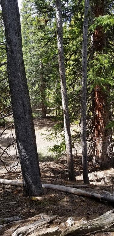 1653 Co Road Fairplay, CO 80440 - Photo 5 of 11 Gallery Image 5