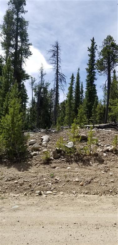 1653 Co Road Fairplay, CO 80440 - Photo 10 of 11 Gallery Image 10