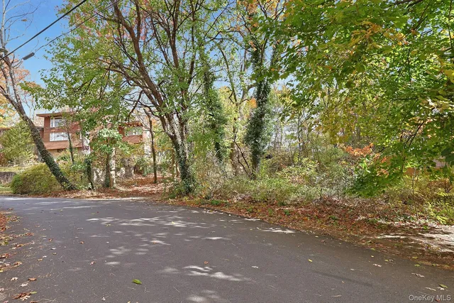 a view of outdoor space and yard