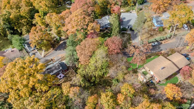 a view of a tree with a yard