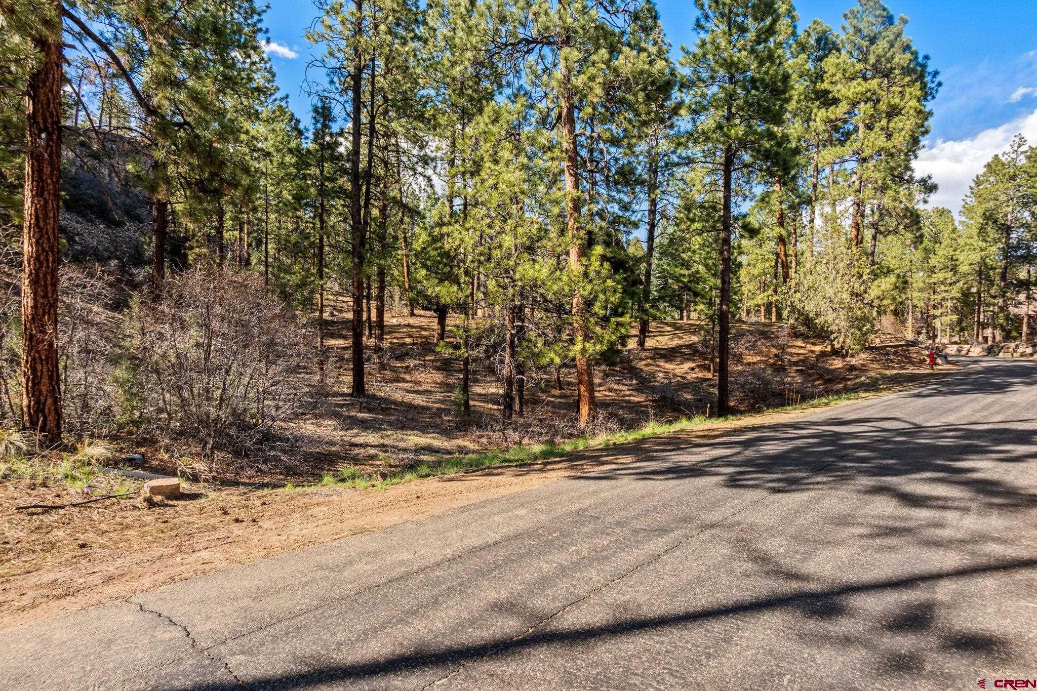 47 Ambush Canyon Durango, CO 81301 - Photo 11 of 18