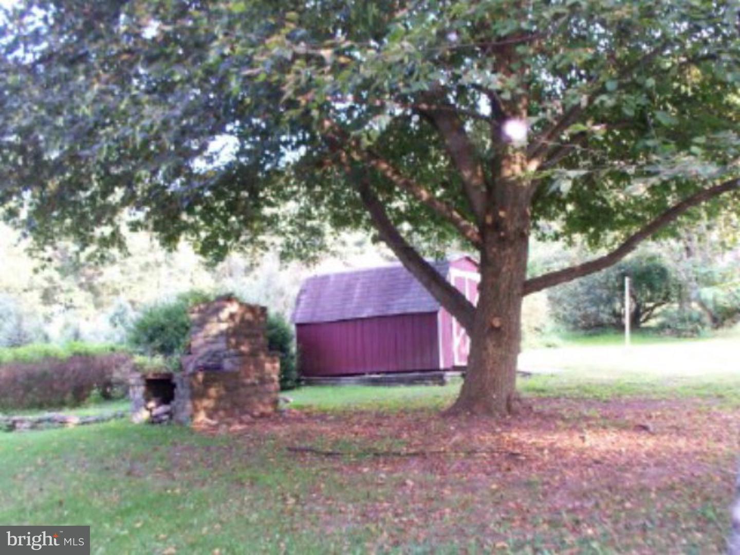 403 Biddle Street Gordon, PA 17921 - Photo 3 of 6 Back Yard