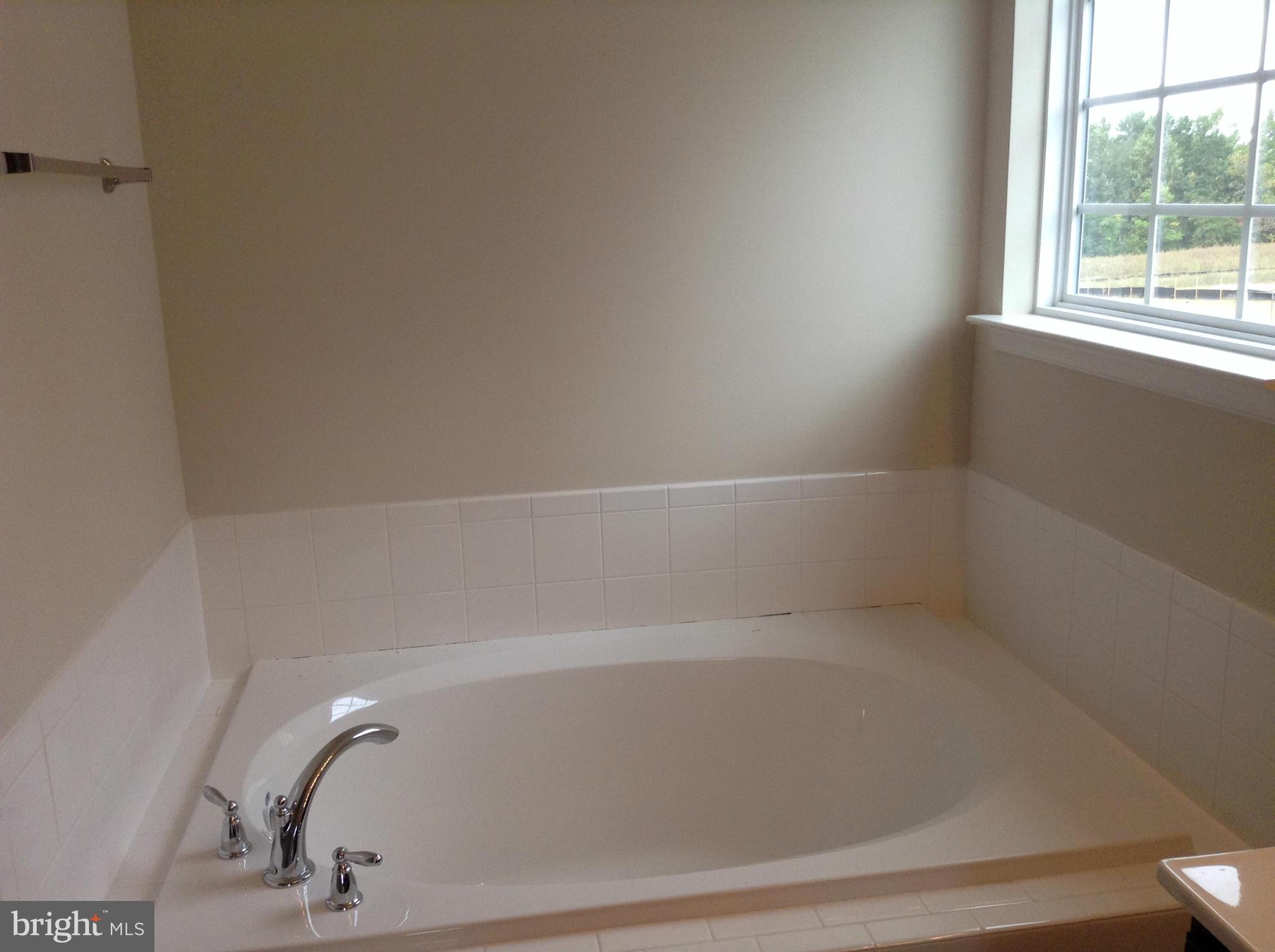 5341 Longbow Road King George, VA 22485 - Photo 22 of 22 Bath (Master)