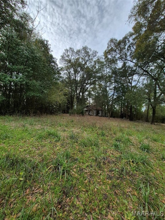 303 Fletcher Road Andalusia, AL 36421 - Photo 1 of 4 Gallery Image 1