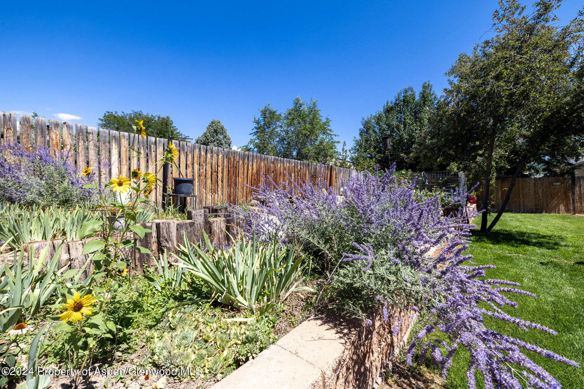 720 East 5th Street Rifle, CO 81650 - Photo 26 of 27 a view of a garden with a building in the background