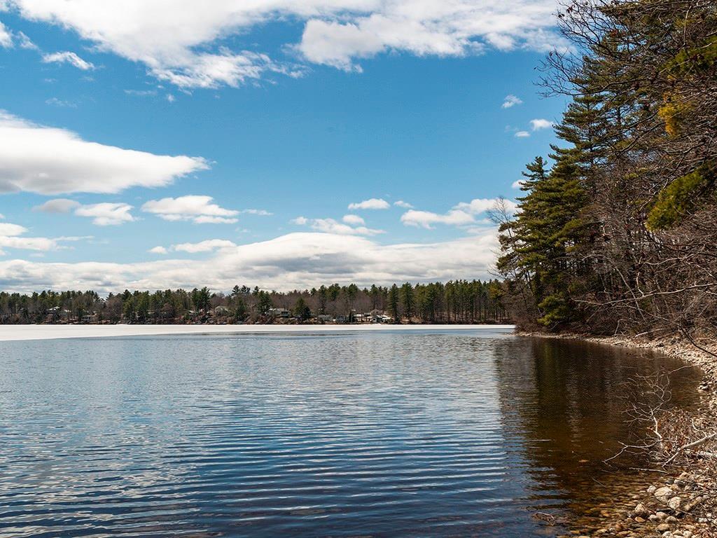98 Rines Road Steep Falls, ME 04085 - Photo 25 of 25 Photo