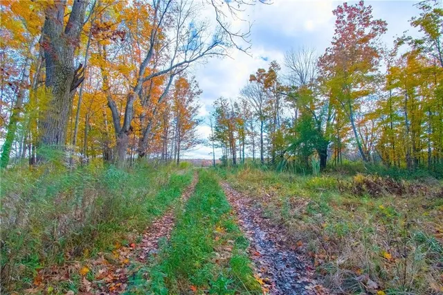 a view of backyard with green space