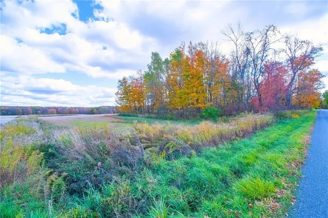 a view of a lake with a yard