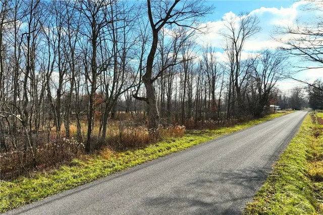 a view of a backyard with pathway