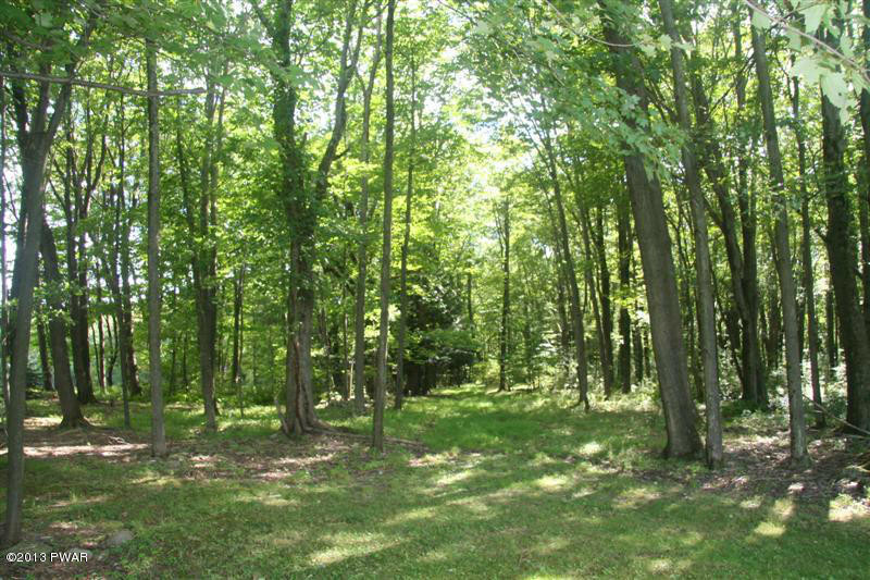 263 Lake Quinn Road Waymart, PA 18472 - Photo 38 of 50