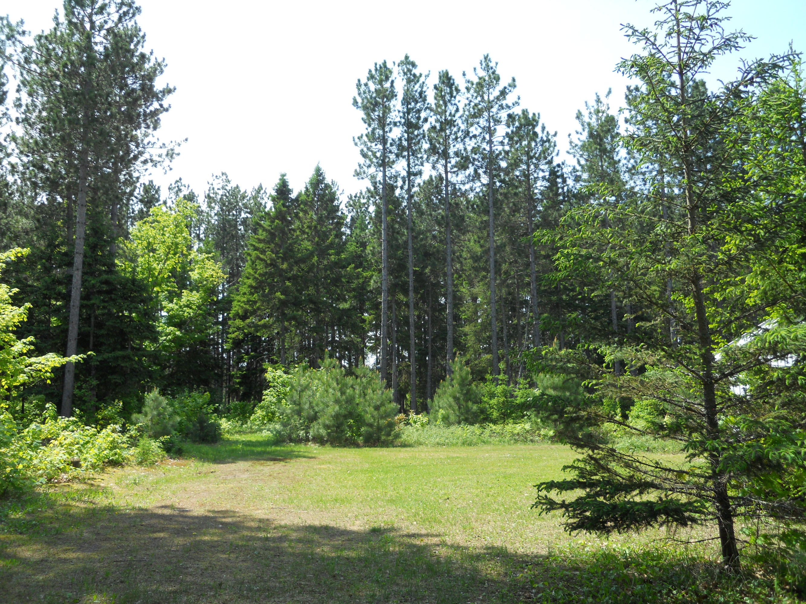 25448 South Fairview Road Pickford, MI 49774 - Photo 19 of 32 Gallery Image 19