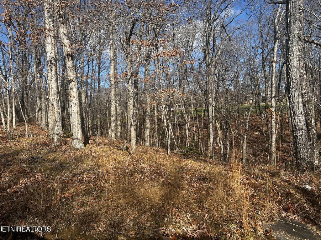 130 Baltusrol Road Crossville, TN 38558 - Photo 2 of 4 20231222000752043191000000-o