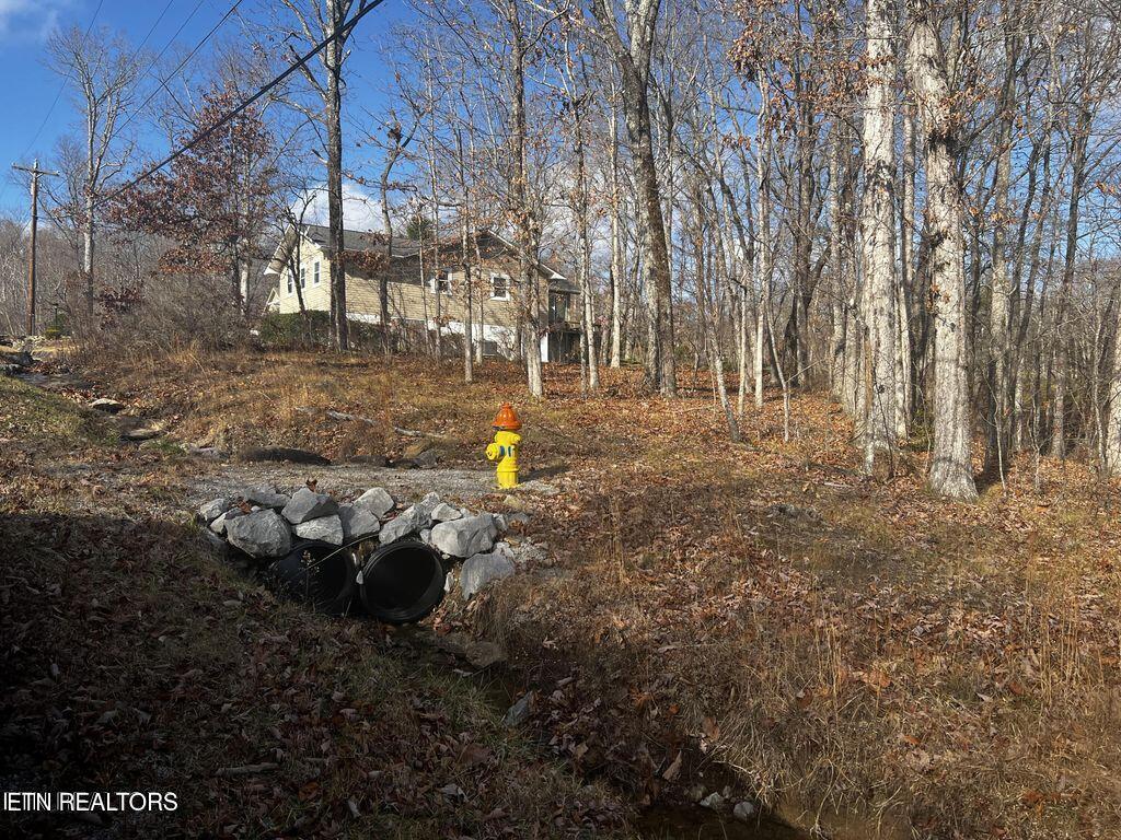 130 Baltusrol Road Crossville, TN 38558 - Photo 4 of 4 20231222000810000755000000-o