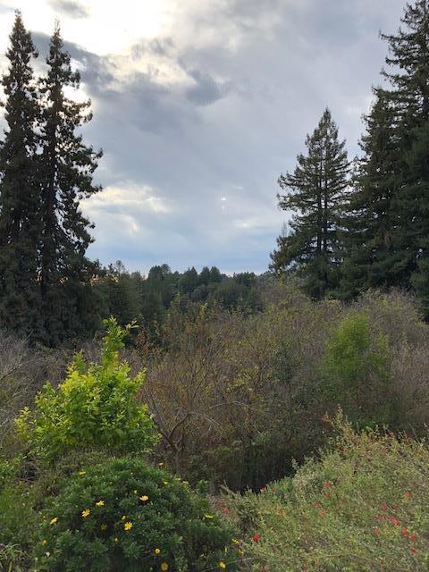 1180 Avocado Road Watsonville, CA 95076 - Photo 26 of 27 Gallery Image 26