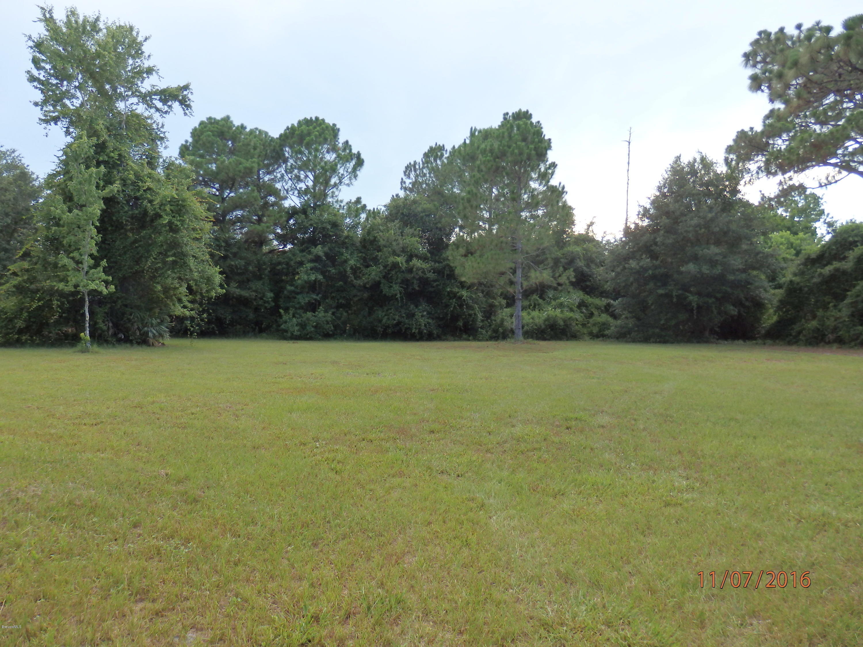 4530 Hog Valley Road Mims, FL 32754 - Photo 16 of 22 P7110047