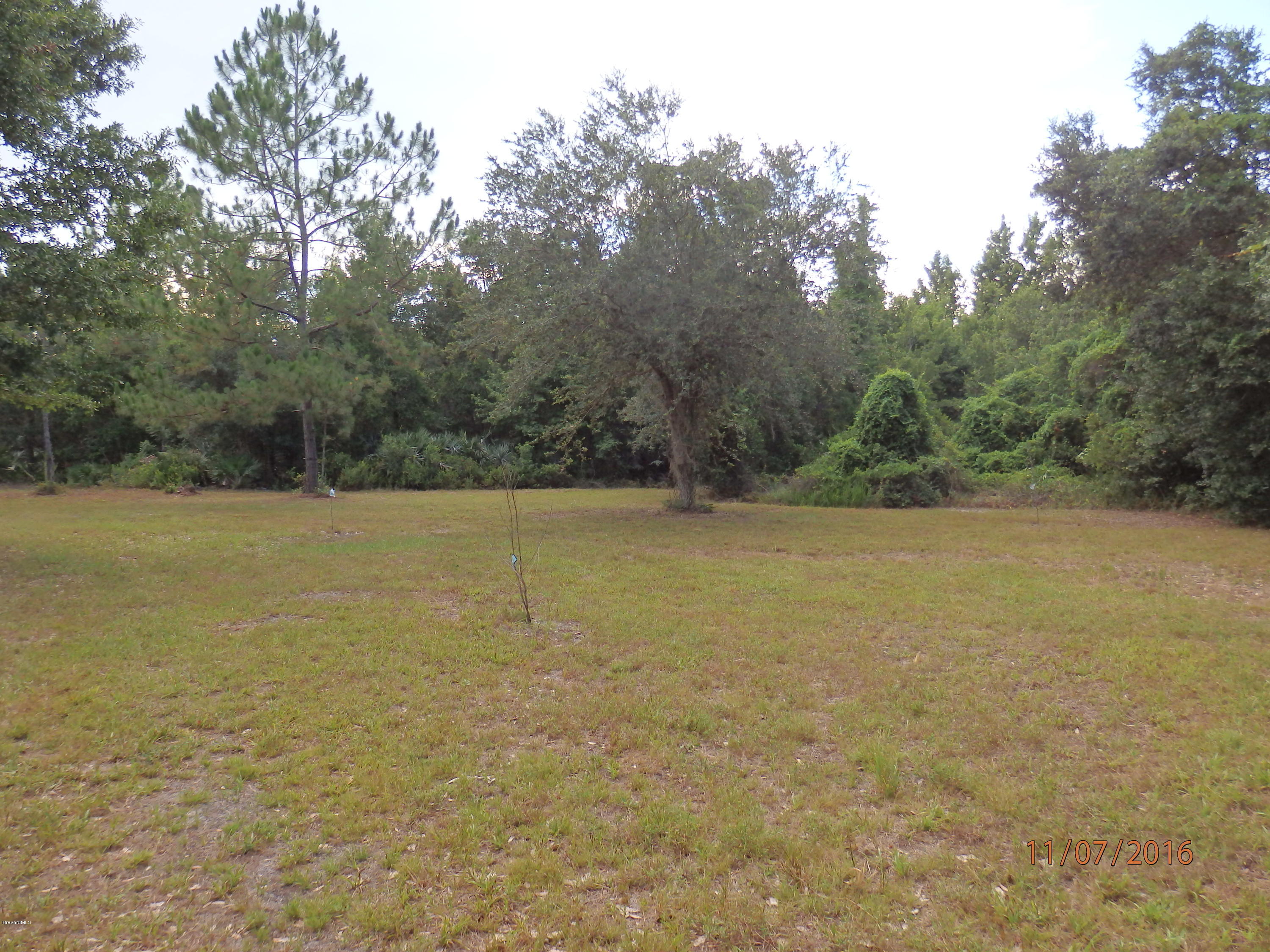 4530 Hog Valley Road Mims, FL 32754 - Photo 20 of 22 P7110051