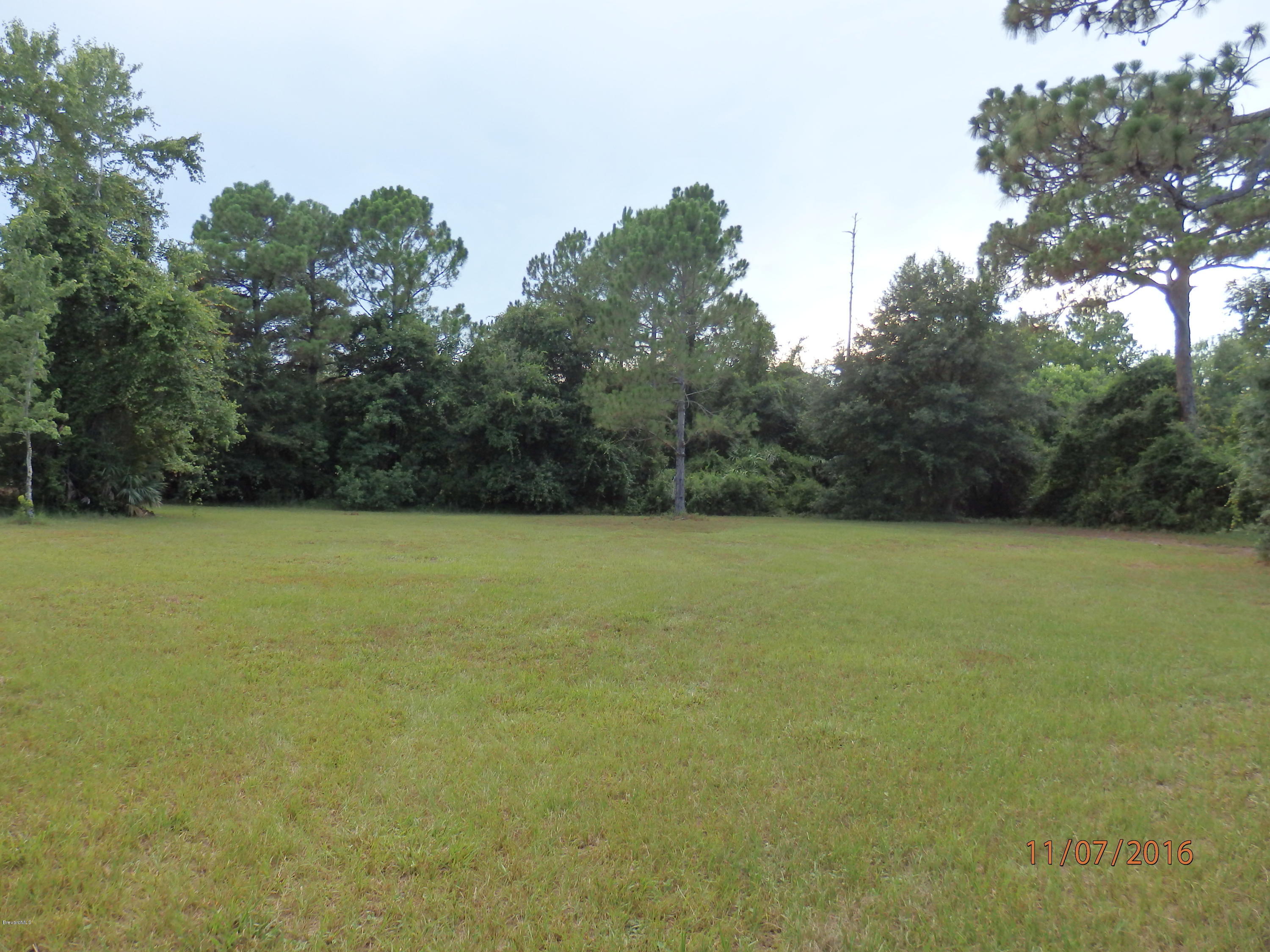 4530 Hog Valley Road Mims, FL 32754 - Photo 21 of 22 P7110053
