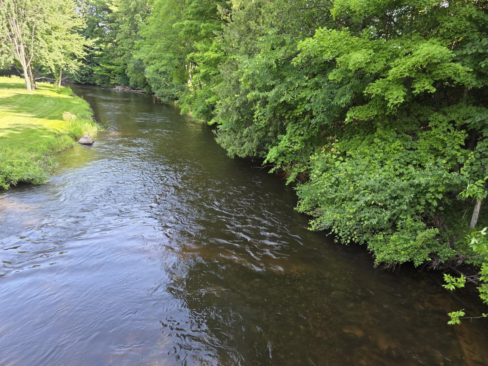 9196 North Ruth Drive Branch, MI 49402 - Photo 27 of 32 PM River