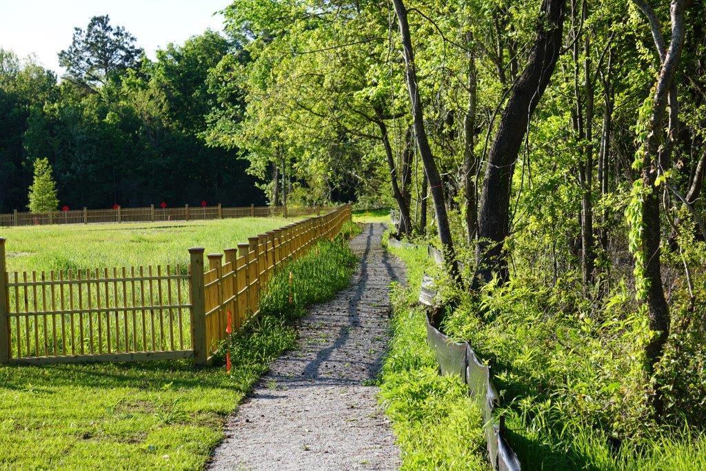2303 Primus Road Mount Pleasant, SC 29466 - Photo 25 of 29 Neighborhood Trail