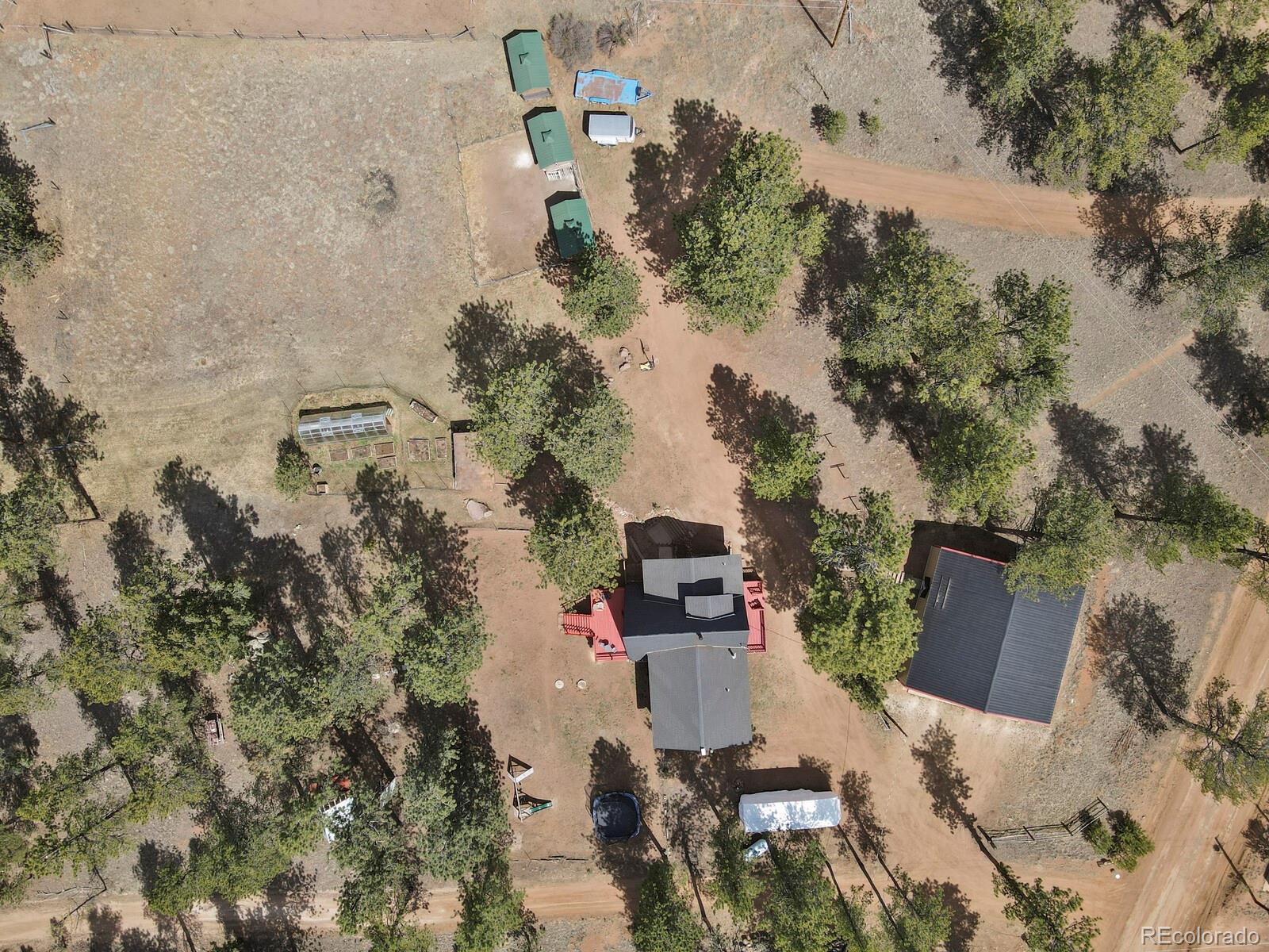 881 Trail Creek Road Lake George, CO 80827 - Photo 3 of 46