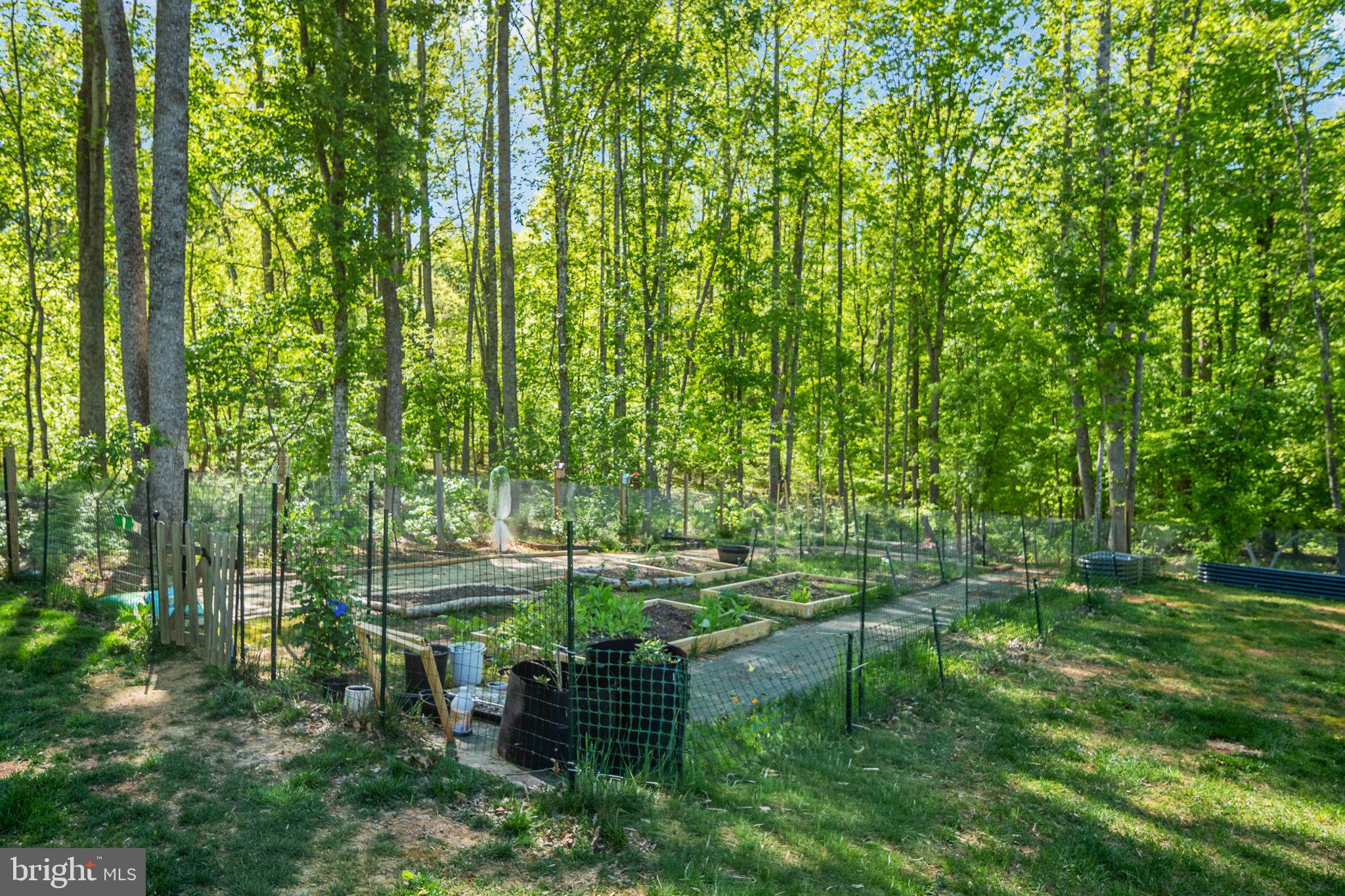 52 Acorn Ridge Court Fredericksburg, VA 22406 - Photo 87 of 101 Raised Flower Beds
