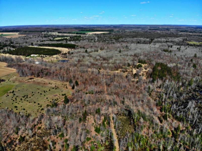 212 Pierson Road Kalkaska, MI 49646 - Photo 23 of 93 DJI_0120
