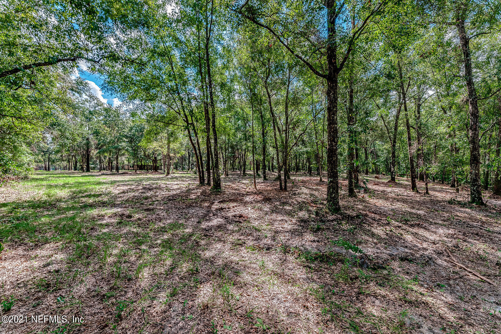 1333 Roberts Road Jacksonville, FL 32259 - Photo 1 of 17 Land pic 1