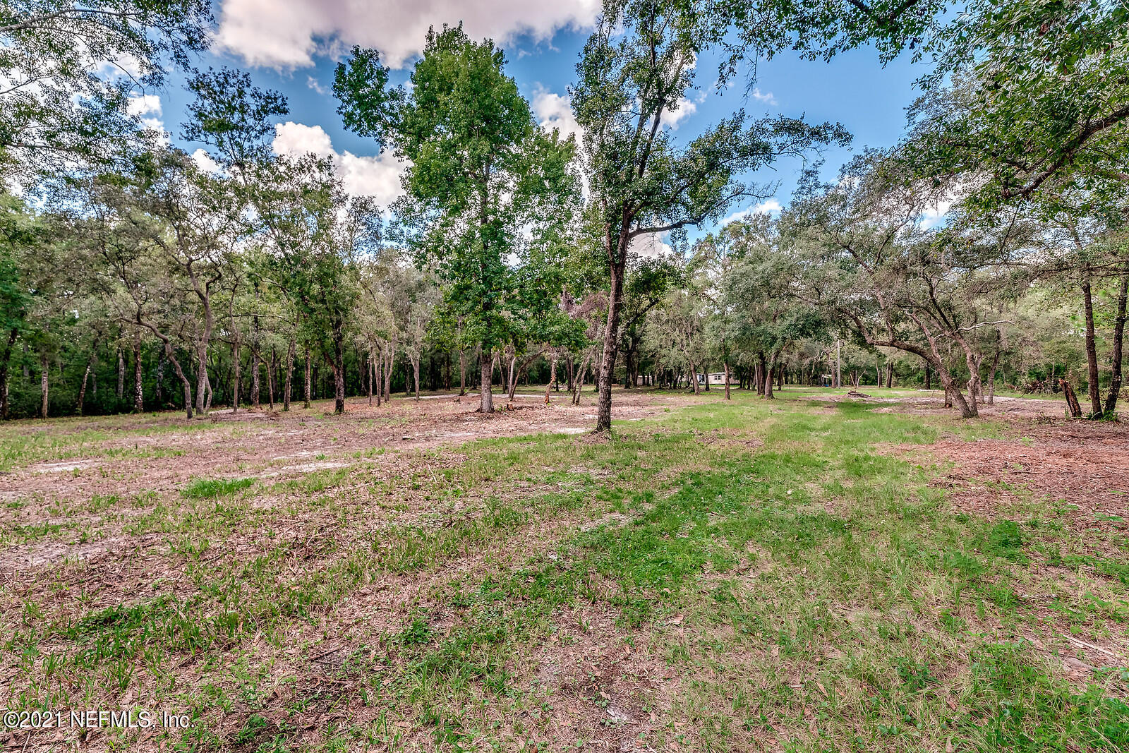 1333 Roberts Road Jacksonville, FL 32259 - Photo 6 of 17 land pic 8
