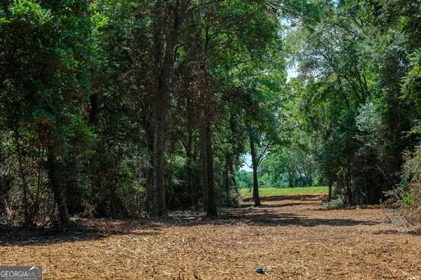 a view of backyard with green space