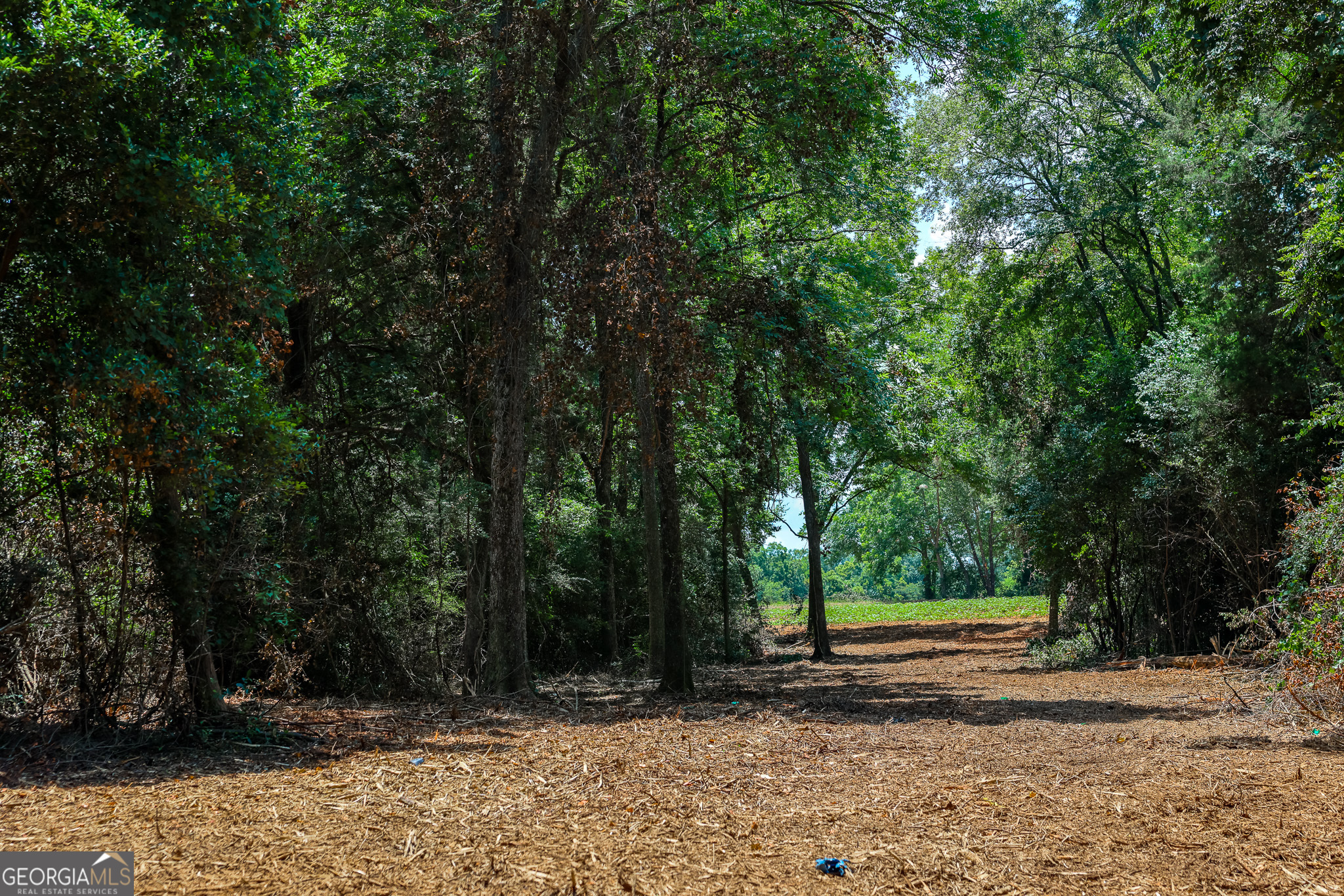 0 Pine Street Edison, GA 39846 - Photo 12 of 18 a view of backyard with green space