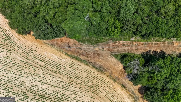 a view of backyard with green space