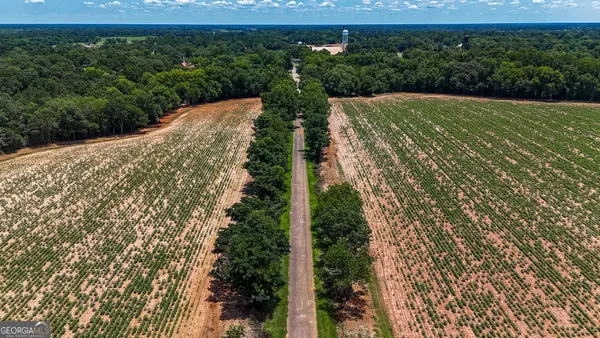 a view of a garden with a building in the background