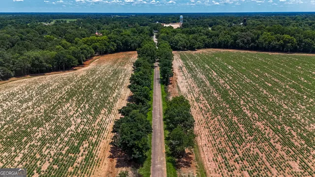 $599,000 | 0 Pine Street, Edison, GA 39846