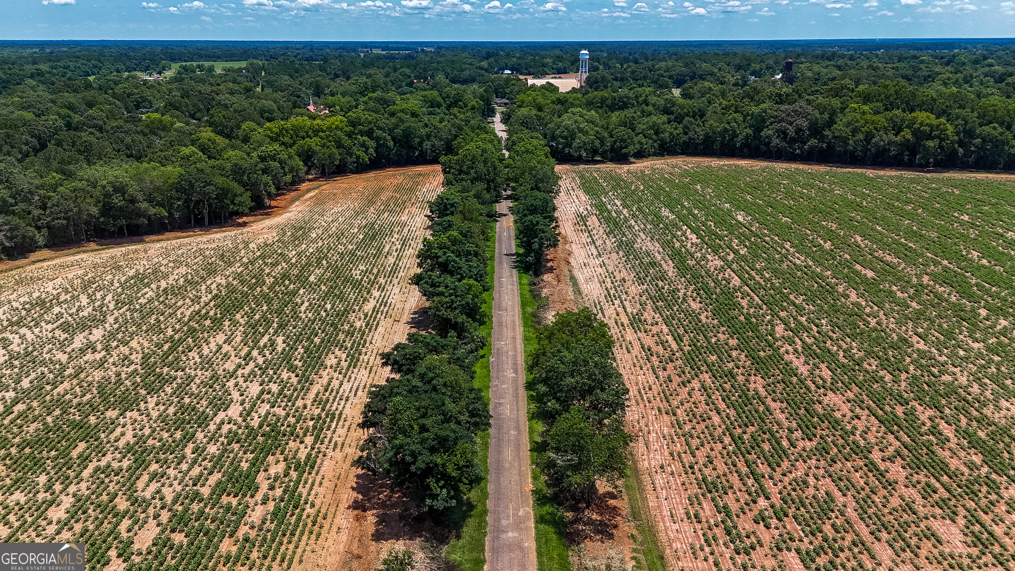 0 Pine Street Edison, GA 39846 - Photo 15 of 18 a view of a garden with a building in the background