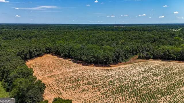 $599,000 | 0 Pine Street, Edison, GA 39846