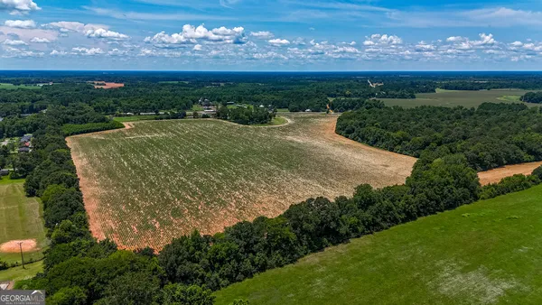 a view of a lake with a mountain in the background