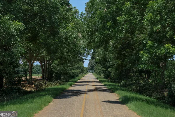 a front view of a house with a yard and fountain
