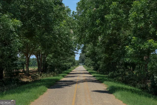 $599,000 | 0 Pine Street, Edison, GA 39846