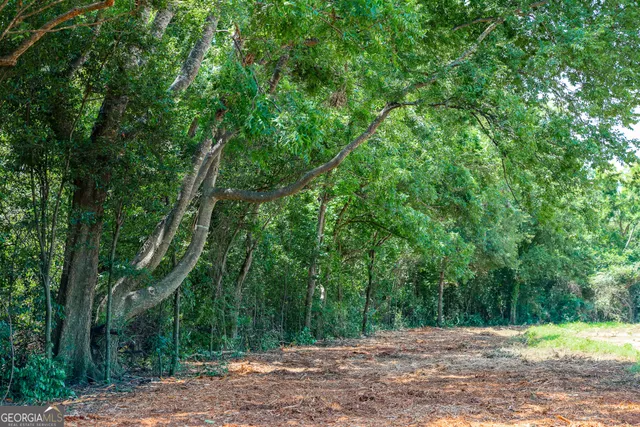 $599,000 | 0 Pine Street, Edison, GA 39846