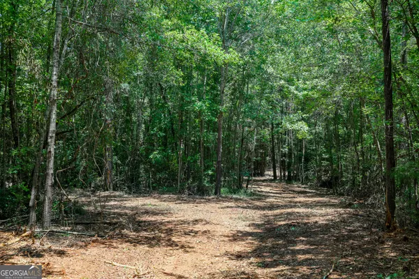 a view of outdoor space with deck and trees