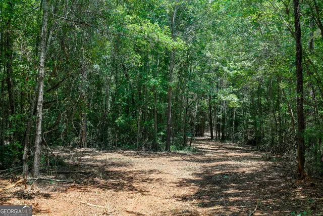 $599,000 | 0 Pine Street, Edison, GA 39846