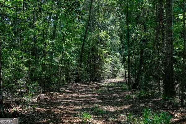 a view of outdoor space and green space