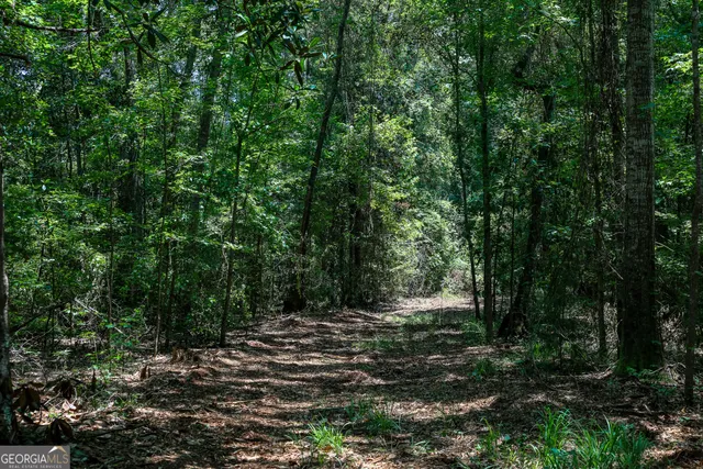 $599,000 | 0 Pine Street, Edison, GA 39846