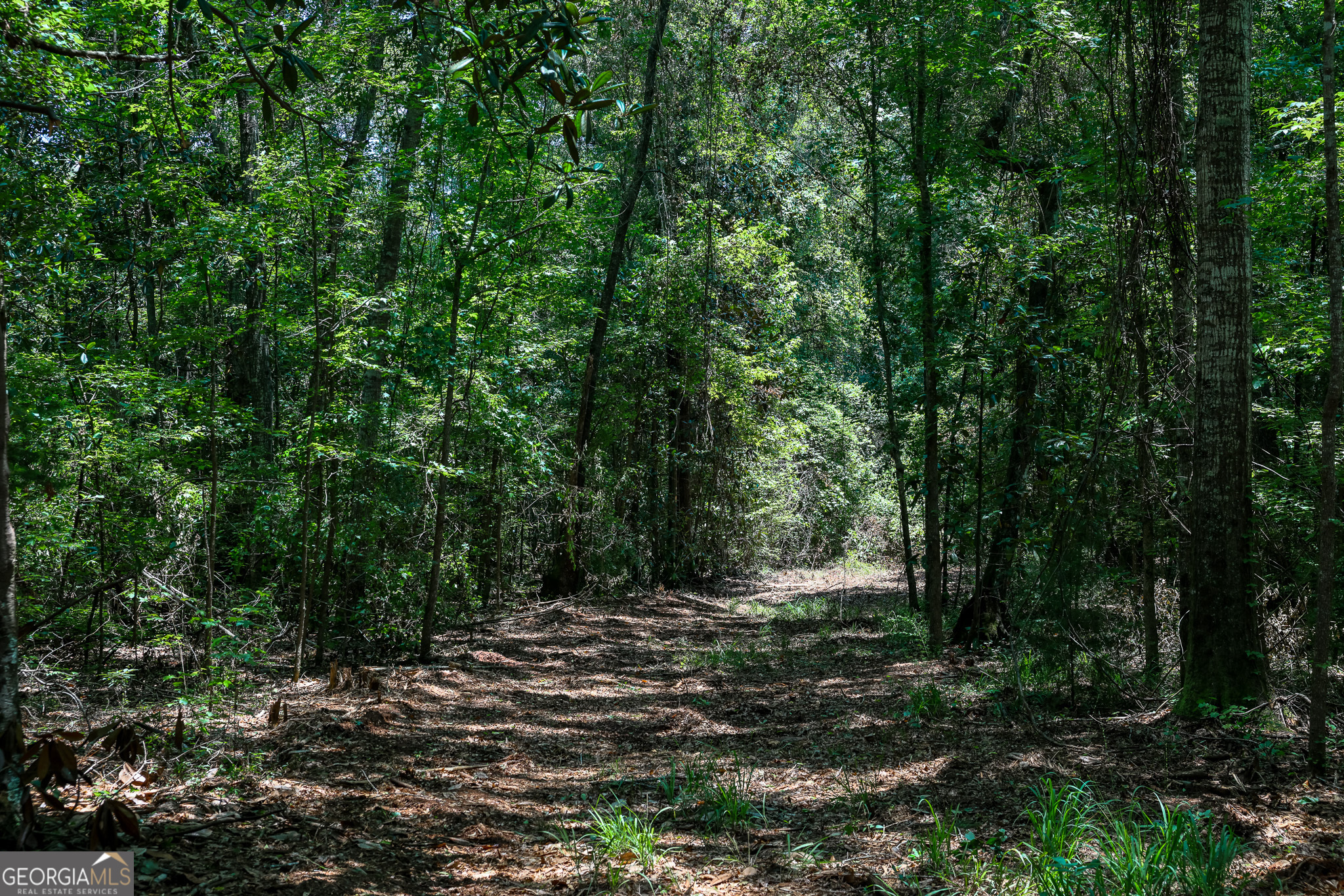 0 Pine Street Edison, GA 39846 - Photo 10 of 18 a view of outdoor space and green space